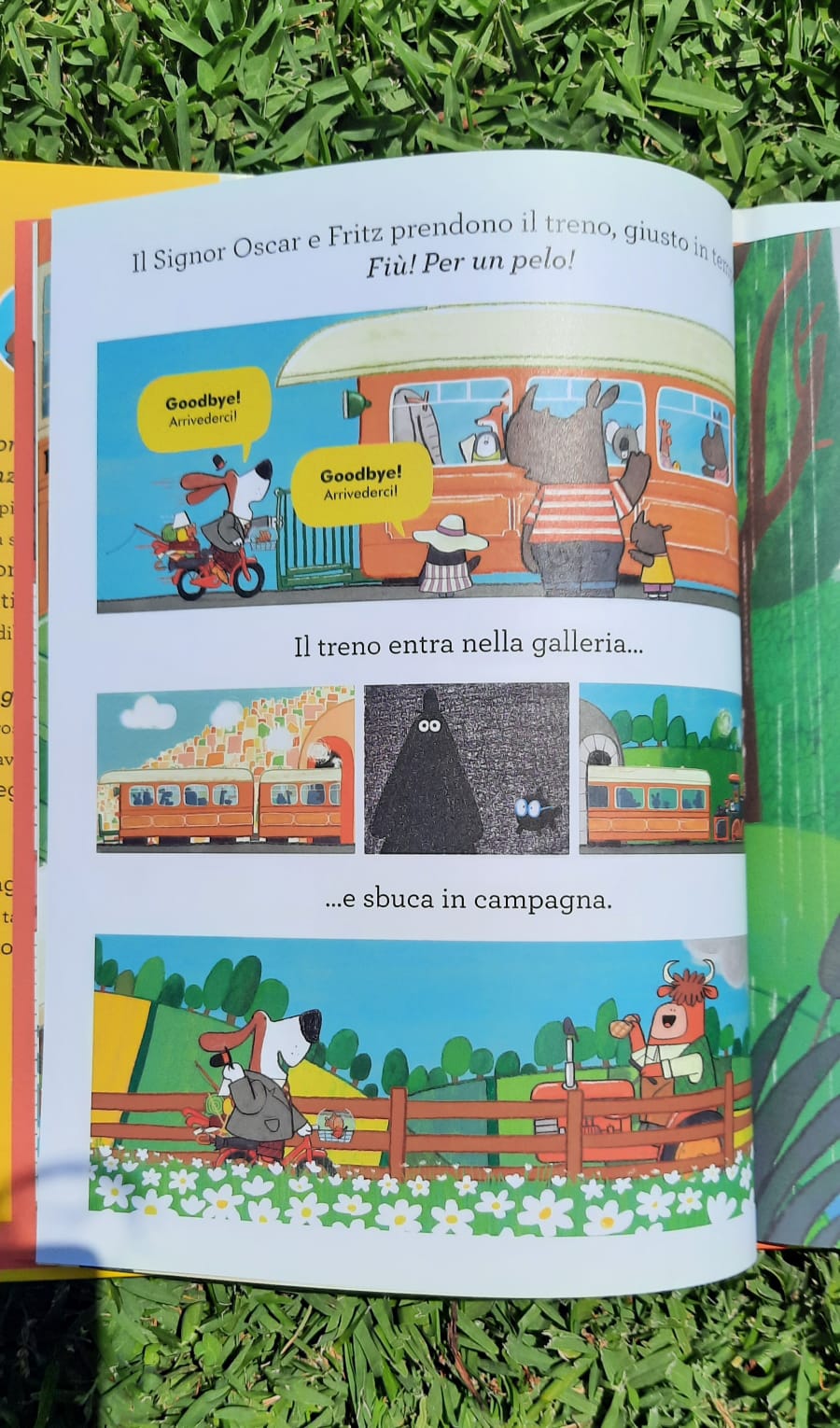 Il signor Oscar in vacanza. - immagine 6