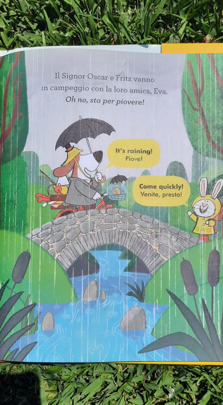 Il signor Oscar in vacanza. - immagine 4