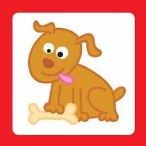 Contrassegni carta adesiva