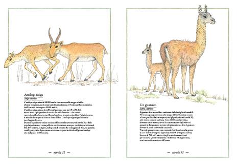 Inventario illustrato della preistoria - immagine 6