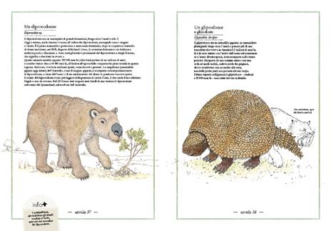 Inventario illustrato della preistoria - immagine 8