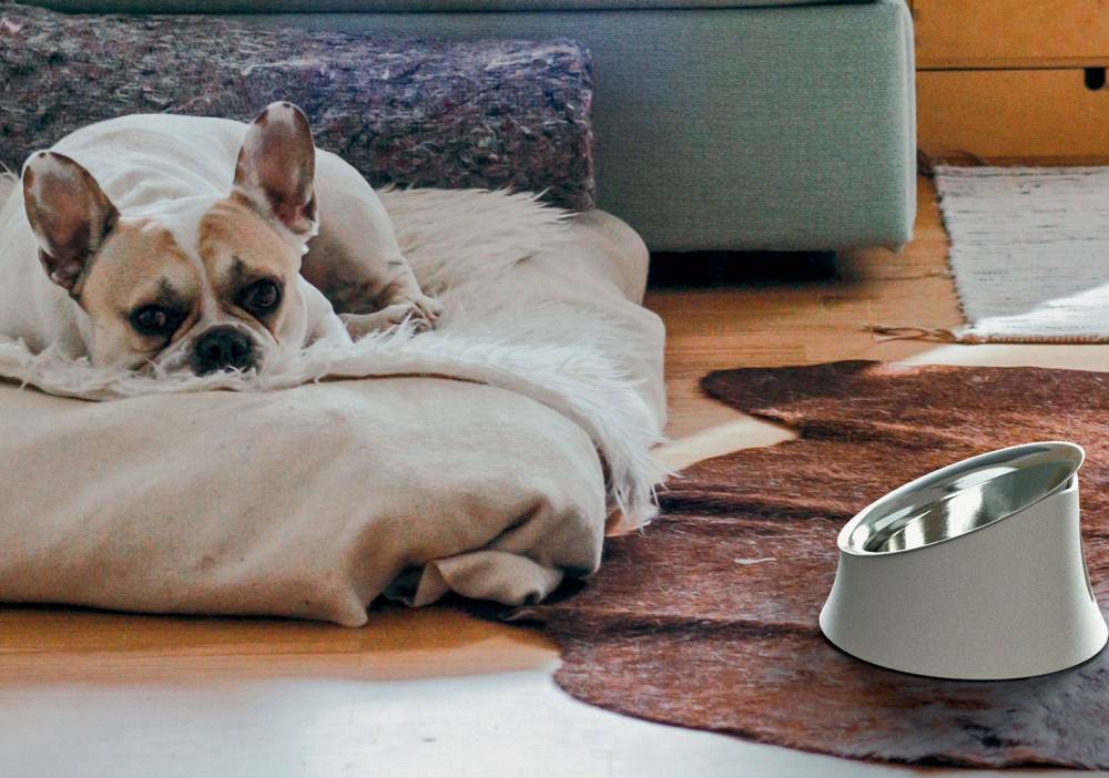 Wowl Ciotola per Cani - immagine 3