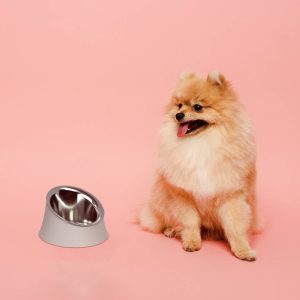 Wowl Ciotola per Cani