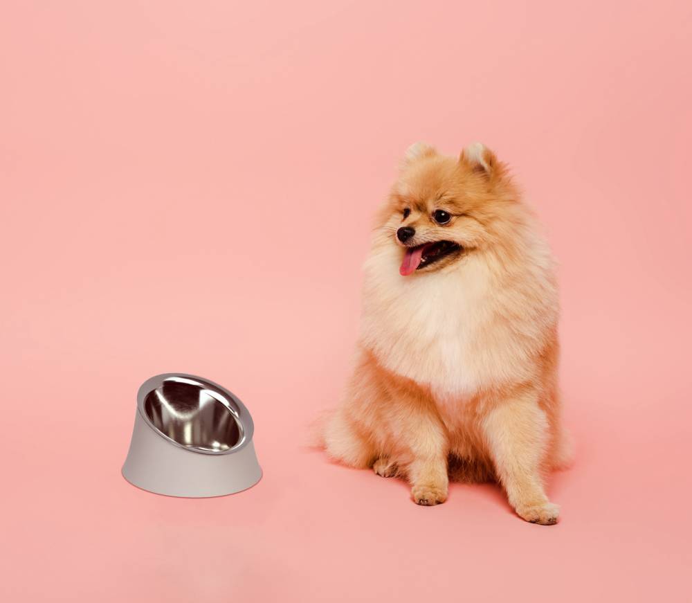 Wowl Ciotola per Cani