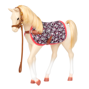 Cavallo Palonimo – Puledro