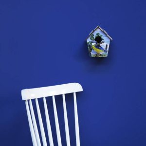 Casa Uccellino Sky Lander