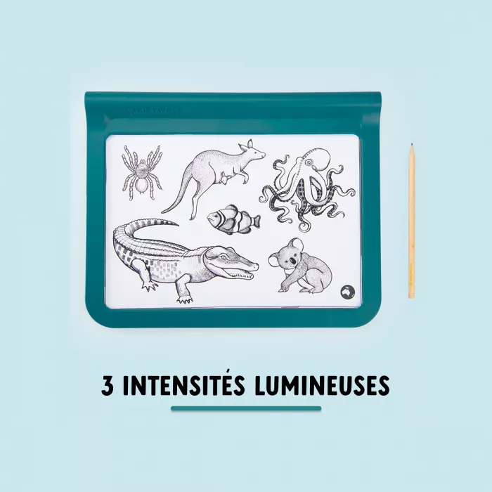 Tavoletta Luminosa Kidywolf - immagine 3