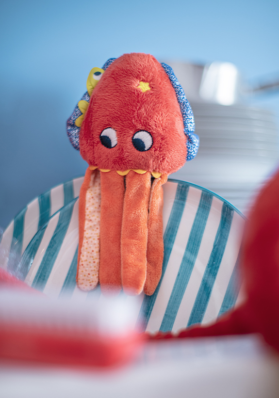 Seppia – Cavalluccio Marino – Paguro - immagine 3