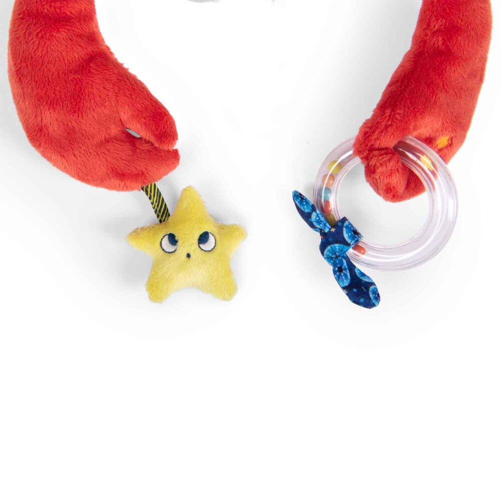 Grande Granchio Attività - immagine 4