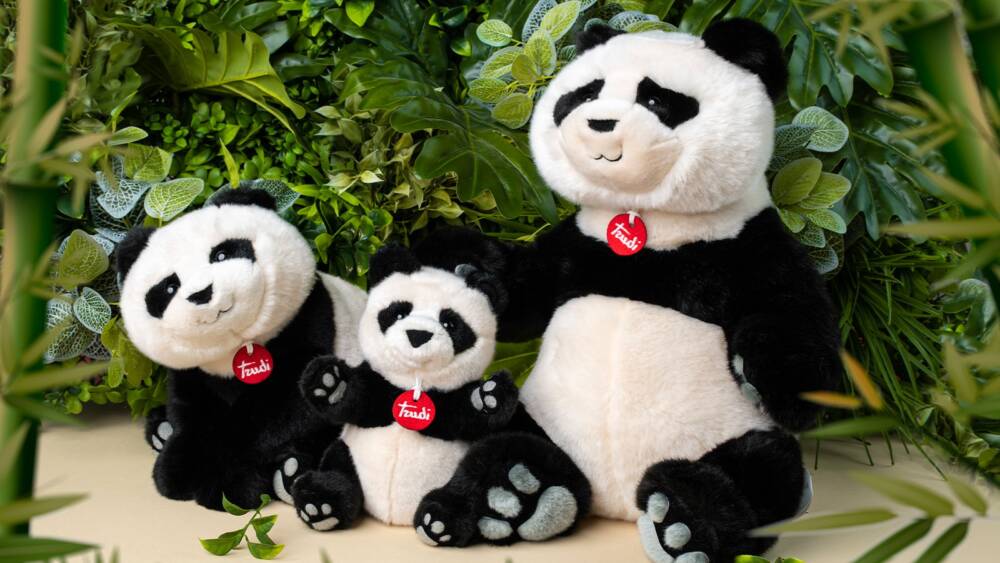 Panda Kevin - immagine 8