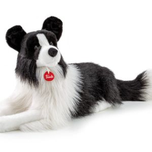 Border Collie Scott