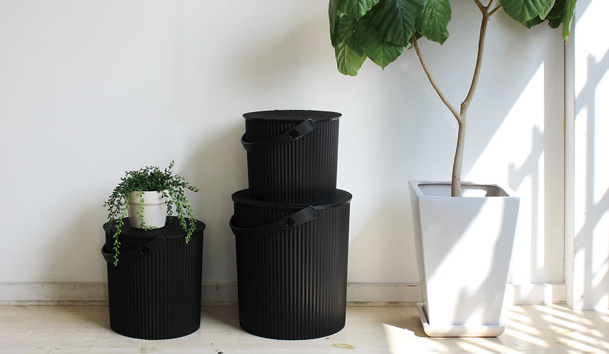 Secchiello Nero - immagine 2