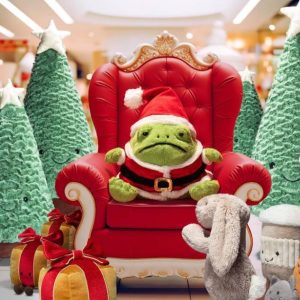 Santa Ricky Rain Frog