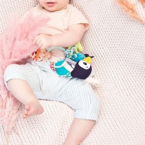 Anello Sensoriale Giungla