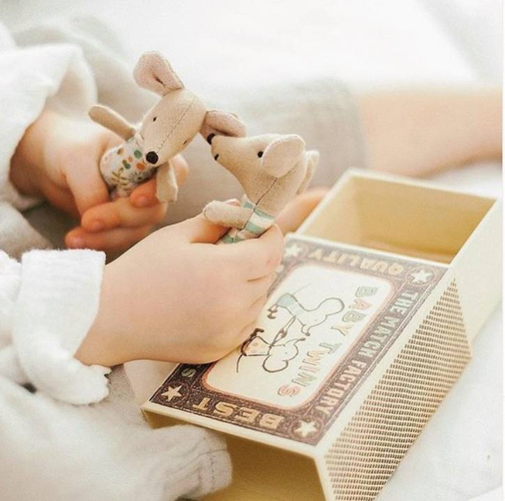 Topino Fratello Maggiore - immagine 6