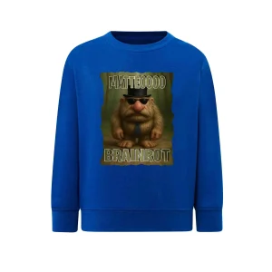 Brainrot Matteo Felpa Primaverile leggera