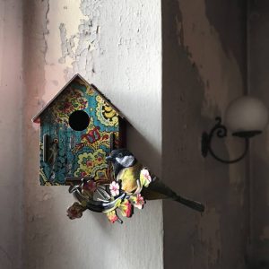 Casa Uccellino Serenade