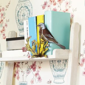 Uccellino Latin Lover