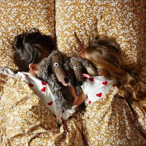 Cane Puzzone L’Ecole de Loisirs