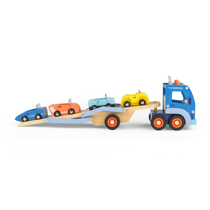 Camion Bisarca Trasporto Auto Avenue du Moulin - immagine 4