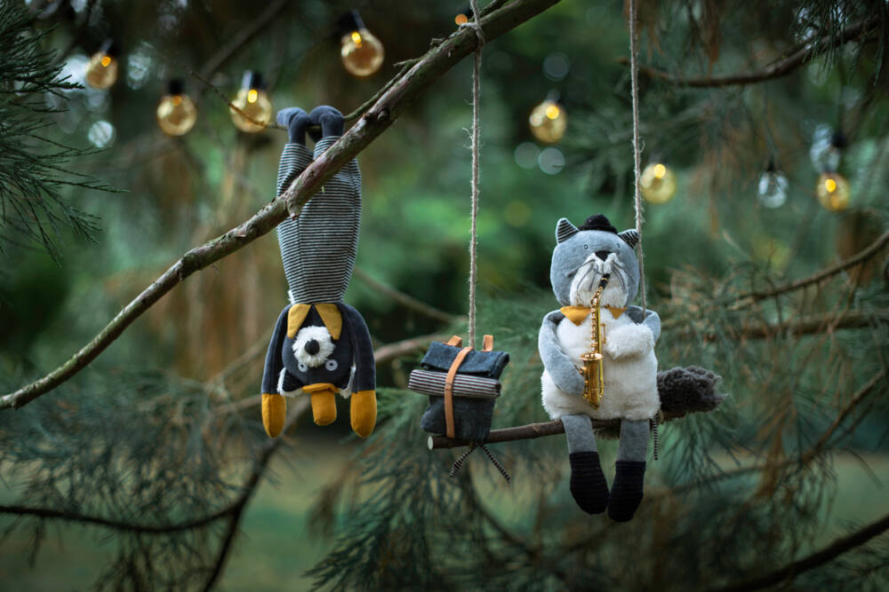 Gatto Alfonso Les Moustaches - immagine 6