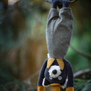 Gatto Alfonso Les Moustaches