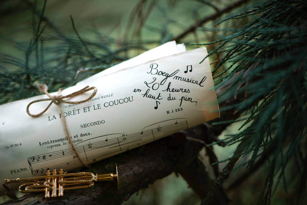 Gatto Alfonso Les Moustaches - immagine 7