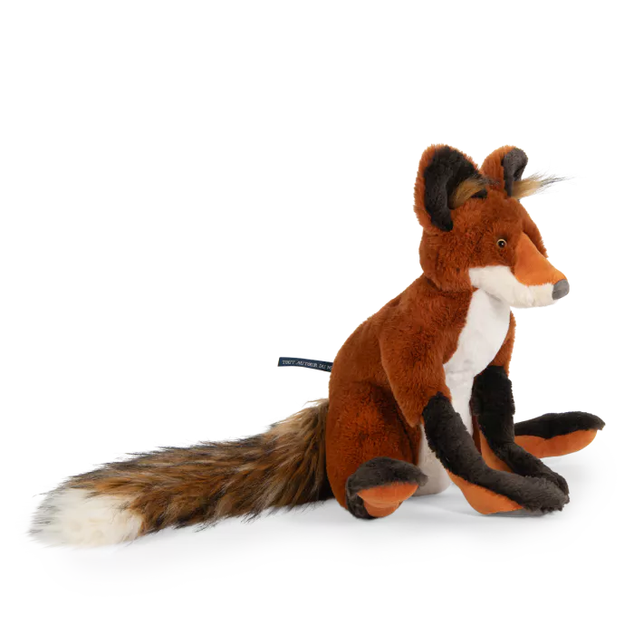 Volpe Tout Autour du Monde - immagine 3