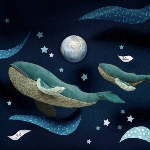 Balena Magattera Tout Autour du Monde