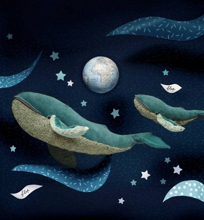 Balena Magattera Tout Autour du Monde - immagine 2