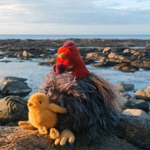 Gallina – Pulcino Tout Autour du Monde