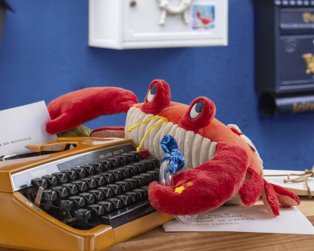 Grande Granchio Attività - immagine 2