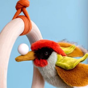 Picchio Tout Autour du Monde