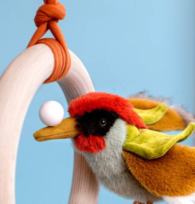 Picchio Tout Autour du Monde - immagine 2