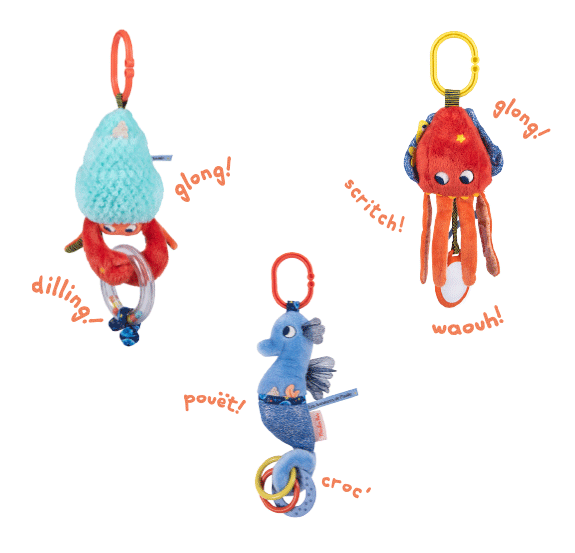 Seppia – Cavalluccio Marino – Paguro