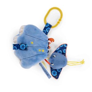 Conchiglia Attività