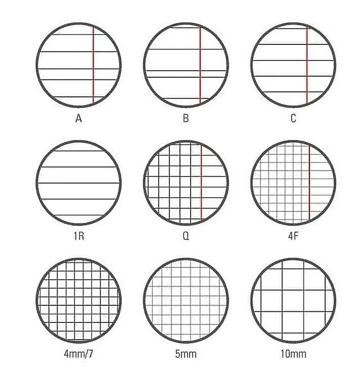 Quaderno Adrian Marinette maxi Formato A4 (21Cm X 29,7Cm) Per Elementari E Medie - immagine 4