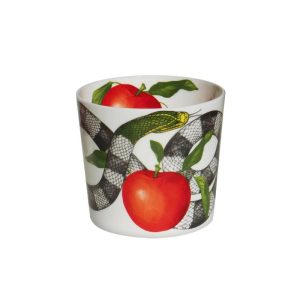 Vaso RED Temptation