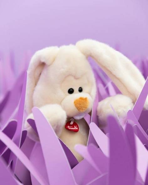 Coniglio Virgilio - immagine 7