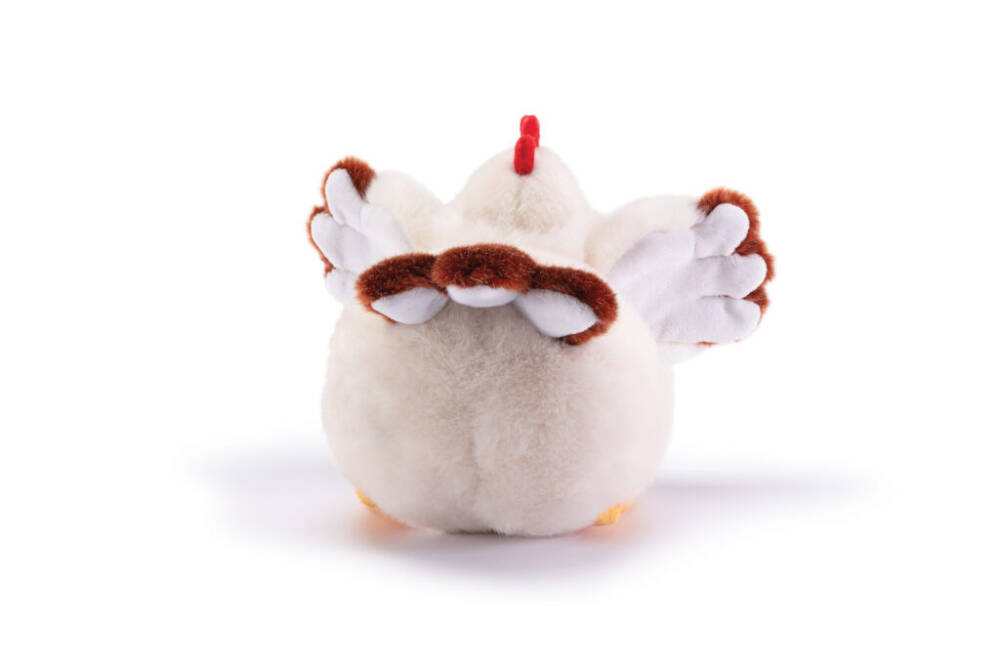 Gallina Daisy - immagine 7