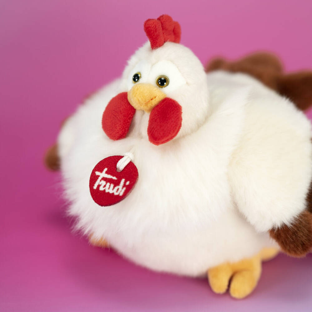 Gallina Daisy - immagine 6