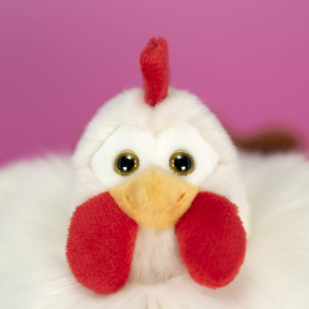 Gallina Daisy - immagine 4